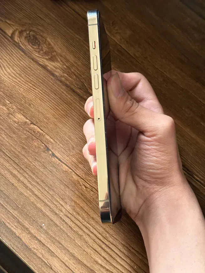 iPhone 13 pro max|موبایل|مشهد, موعود|دیوار