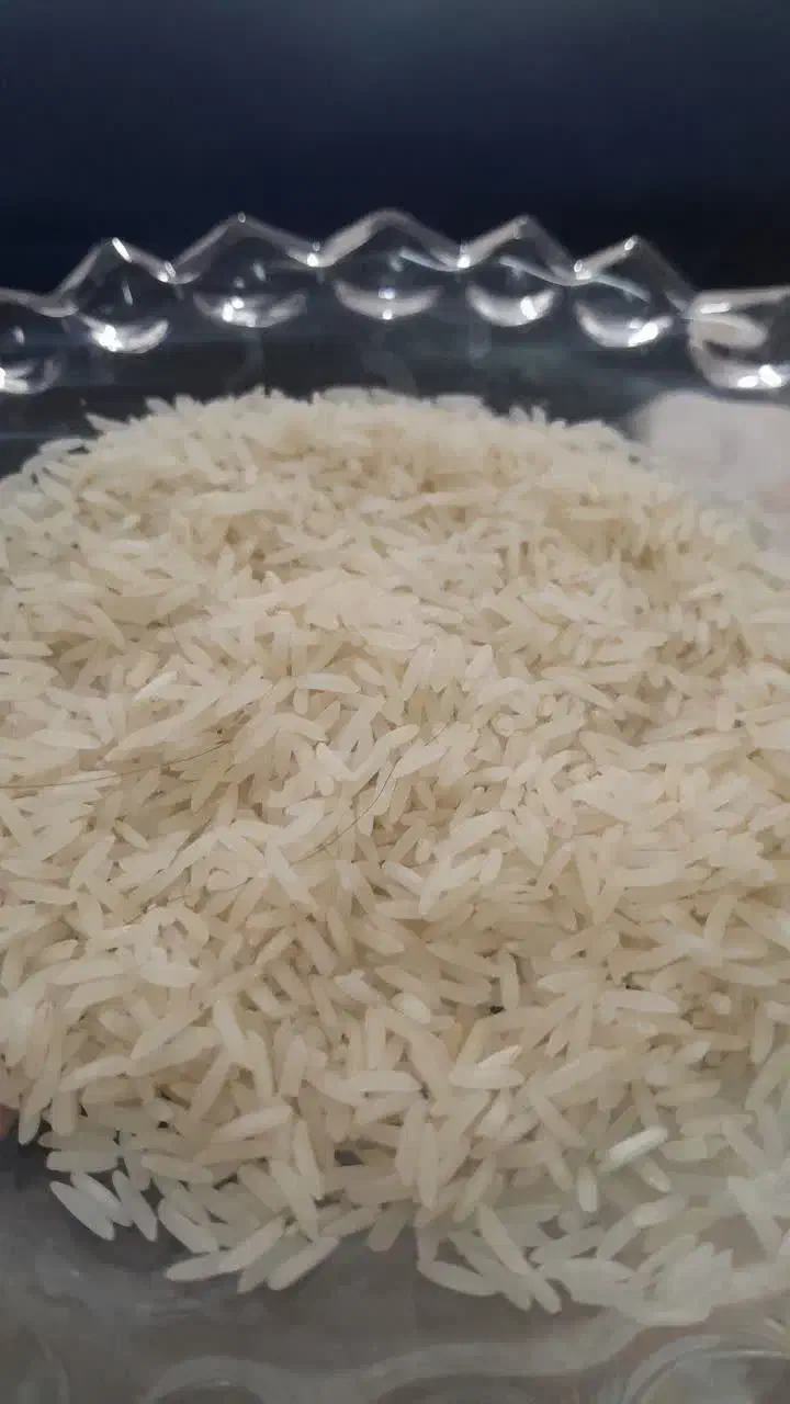 برنج طارم فجرشمال|خوردنی و آشامیدنی|قم, نیروگاه|دیوار