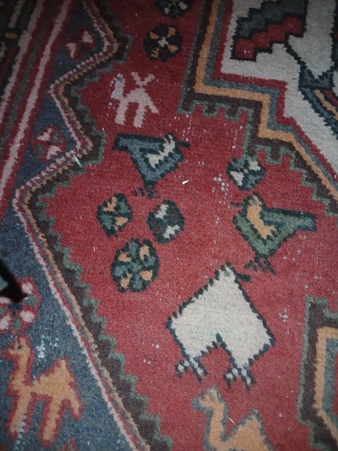 قالی دستبافت در حد نو اصل|فرش|سمیرم, |دیوار