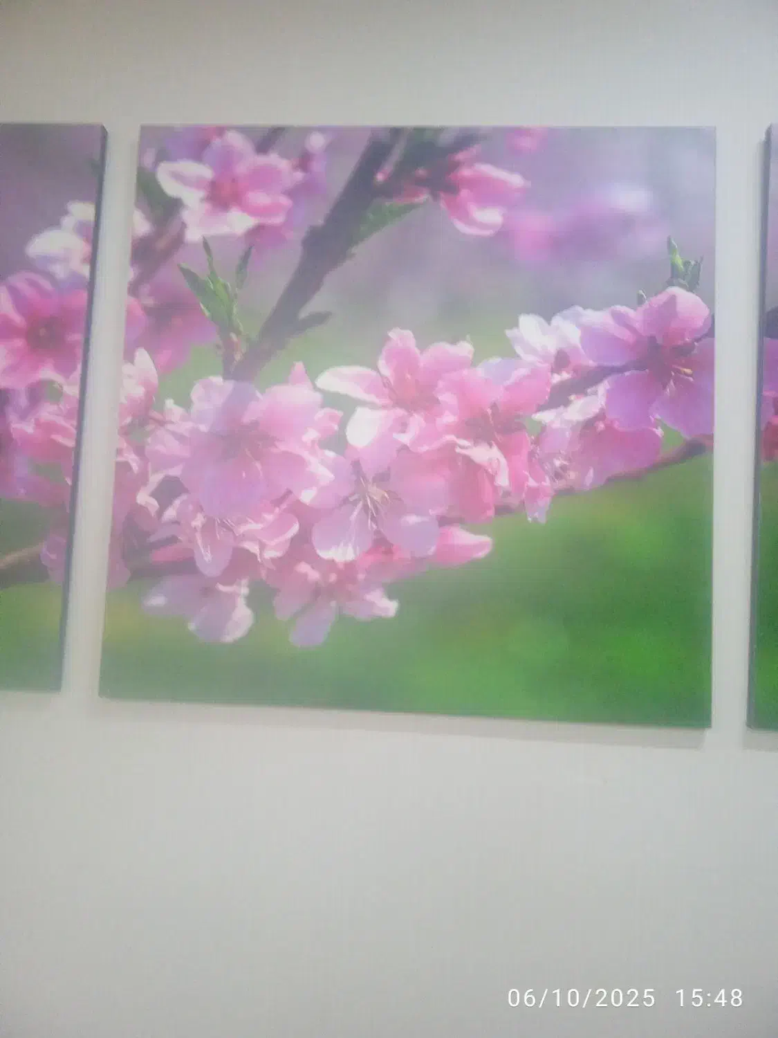 نظافت راه پله و منزل انجام داده میشه|خدمات نظافت|سیرجان, |دیوار