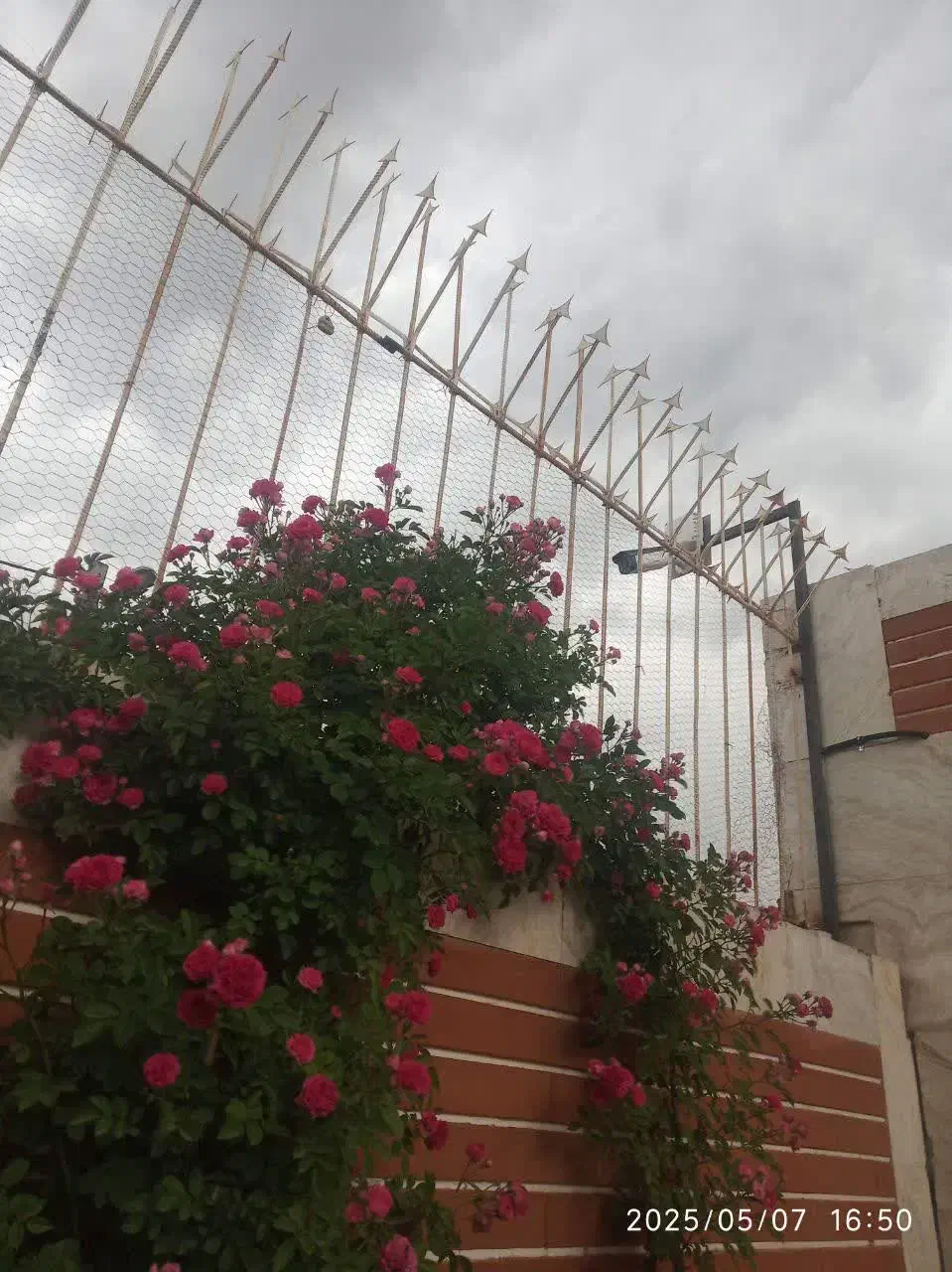 سیستم های امنیتی نصب دوربین مدار بسته  و  دزدگیر|دوربین مداربسته|چناران, |دیوار