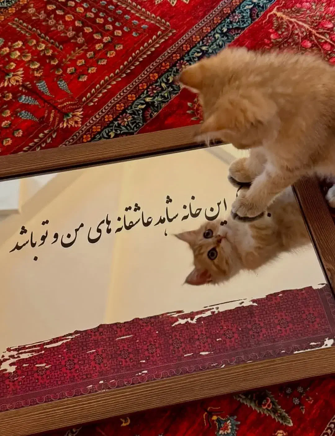 آیینه آنتیک زیبا|آینه|قم, سالاریه|دیوار