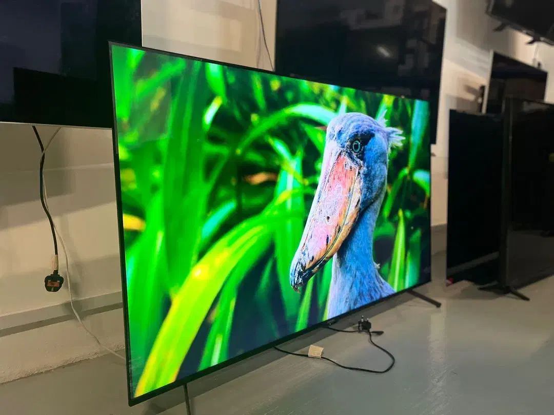 تلویزیون55اینچ4kپلمپ شرکتی هیمالیاباگارانتی۲سال|تلویزیون و پروژکتور|اهواز, پردیس دو|دیوار