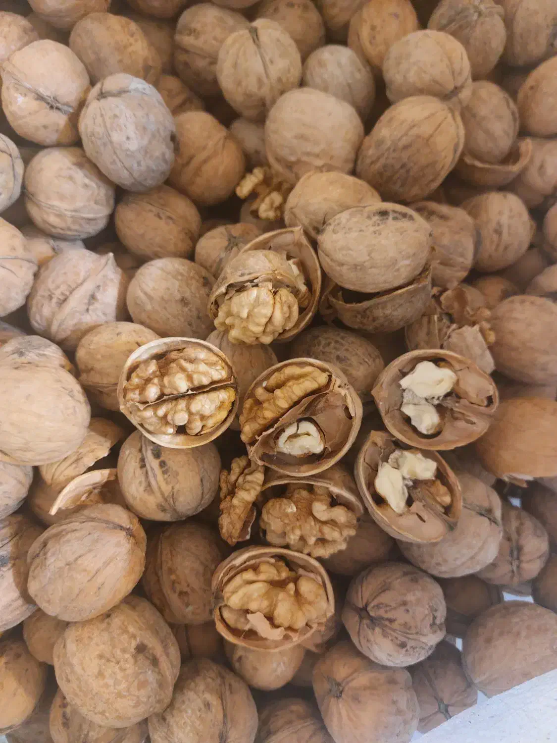 کاغذی پوست نازک|عمدهفروشی|نهاوند, |دیوار