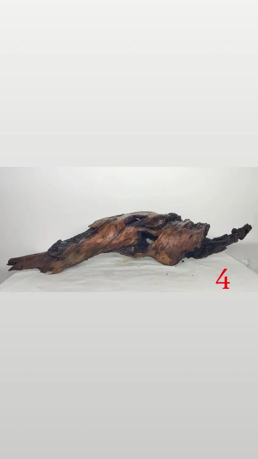 دریفت وود|ماهی|تهران, منیریه|دیوار