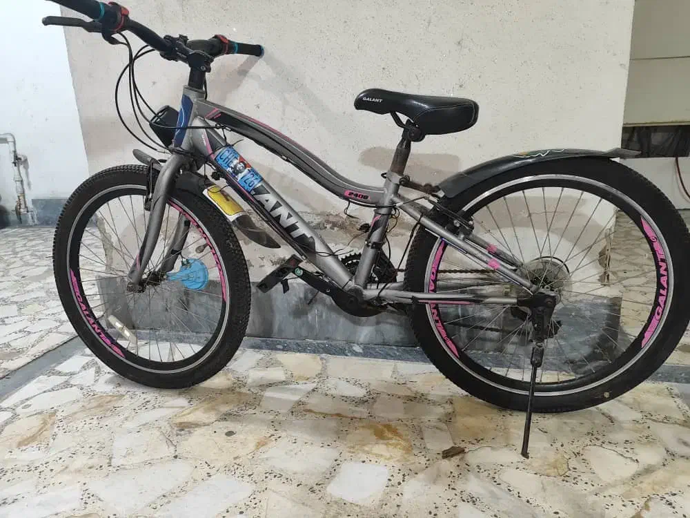 دوچرخه دنده ای سایز 24|دوچرخه، اسکیت، اسکوتر|رشت, توشیبا|دیوار