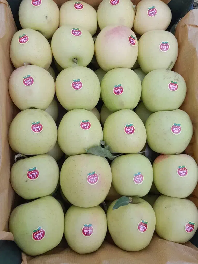 سیب قرمز و زرد درجه یک 1فروش عمده -سردخانه ارومیه|خوردنی و آشامیدنی|ملارد, |دیوار