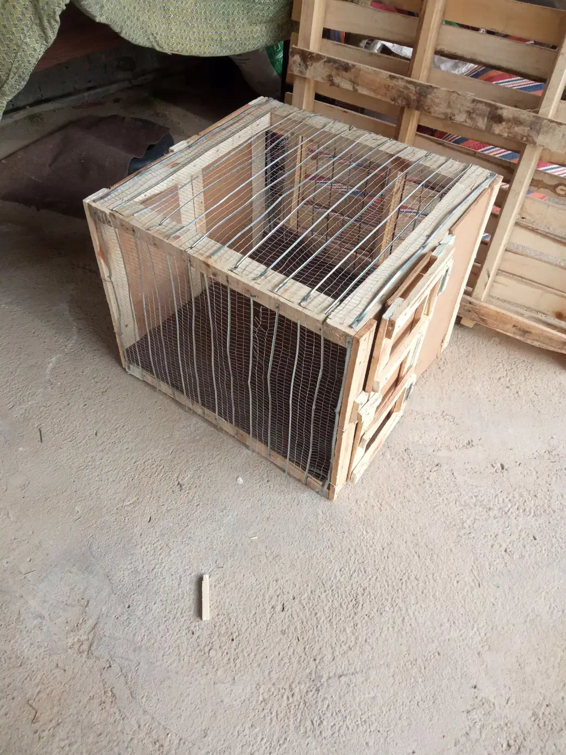 قفس|لوازم جانبی حیوانات|گنبد کاووس, |دیوار