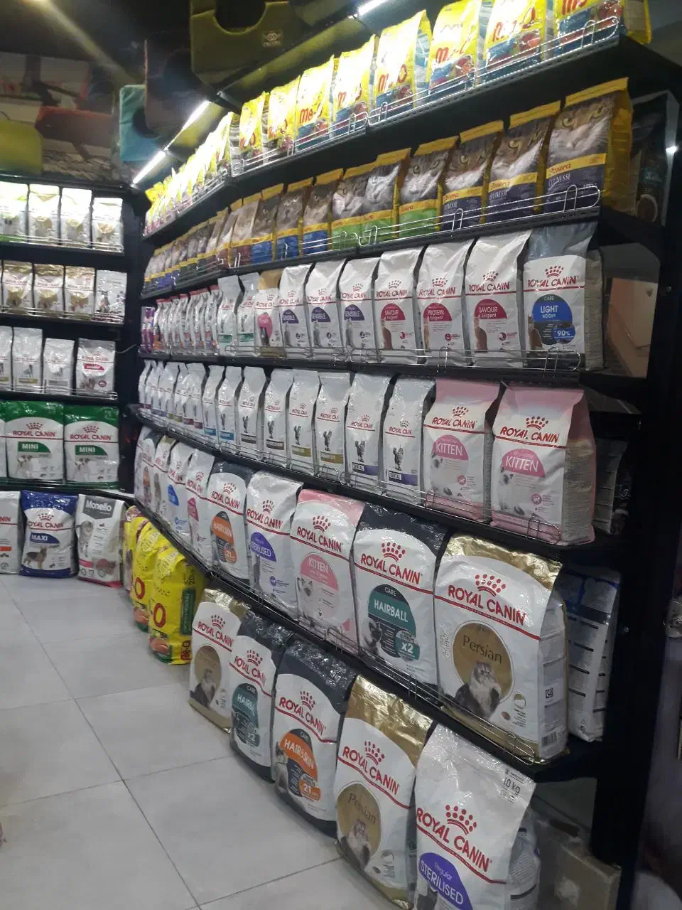 قفسه|فروشگاه و مغازه|کیش, |دیوار