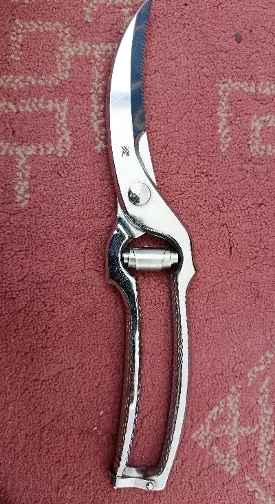 قیچی WMF|ابزارآلات|بجنورد, |دیوار