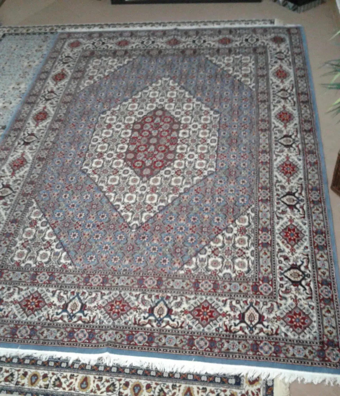 کناره فرش|فرش|ارومیه, |دیوار