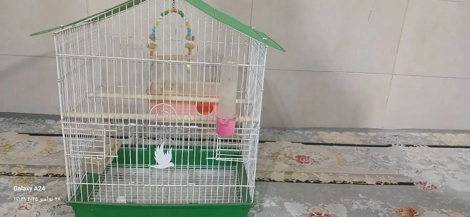 قفس|لوازم جانبی حیوانات|کرج, حصارک پایین|دیوار