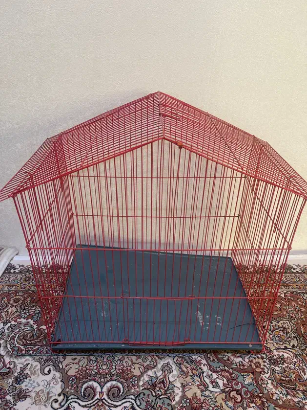 قفس پرنده|لوازم جانبی حیوانات|ایلام, |دیوار
