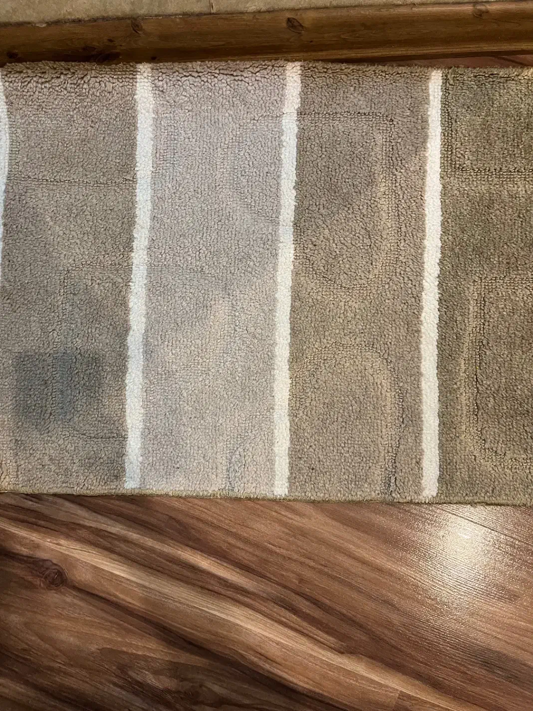 دو عدد پادری|پادری|تبریز, |دیوار