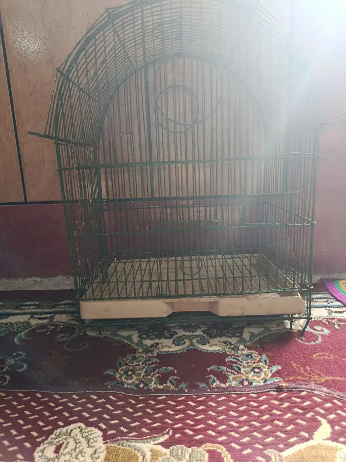 قفس|لوازم جانبی حیوانات|اندیمشک, |دیوار