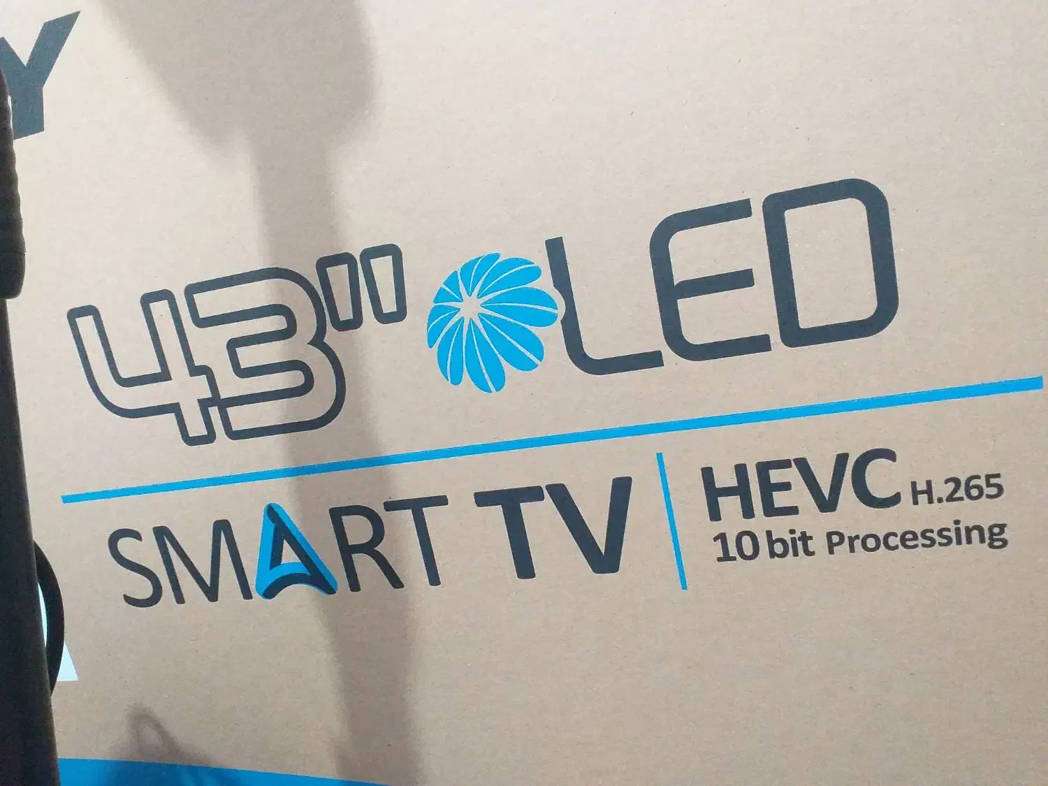 کارتون ۴۳|تلویزیون و پروژکتور|کارون, |دیوار