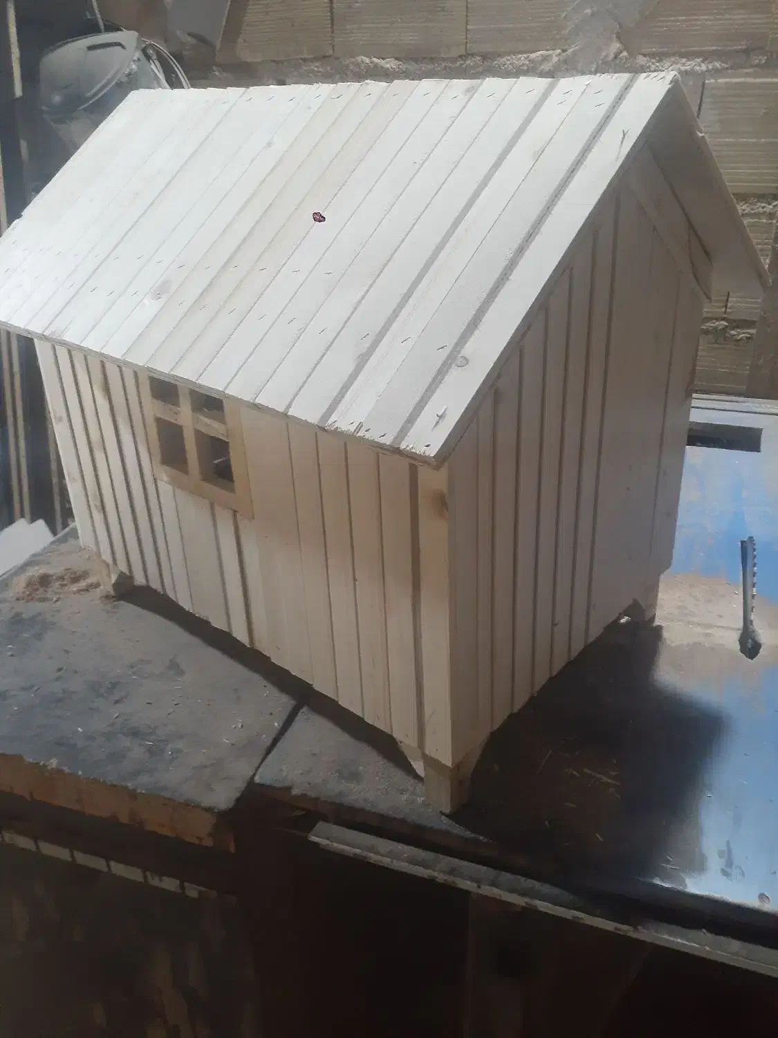 انواع قفس واستدگل|لوازم جانبی حیوانات|شاهرود, |دیوار