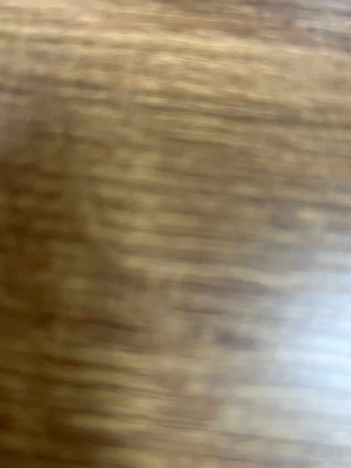 واگذاری تریر مشکی اروم بیصدا|سگ|ارومیه, |دیوار