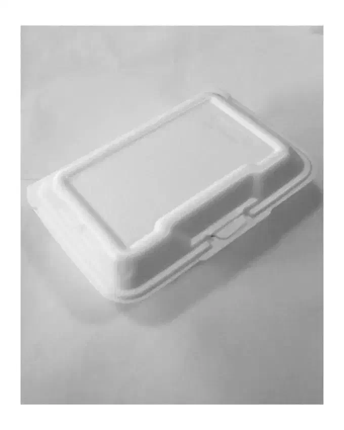 ظرف یکبار مصرف|ظروف نگهدارنده، پلاستیکی، یک‌بارمصرف|مینودشت, |دیوار