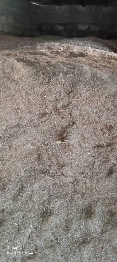 کاه گندم|لوازم جانبی حیوانات|ایذه, |دیوار