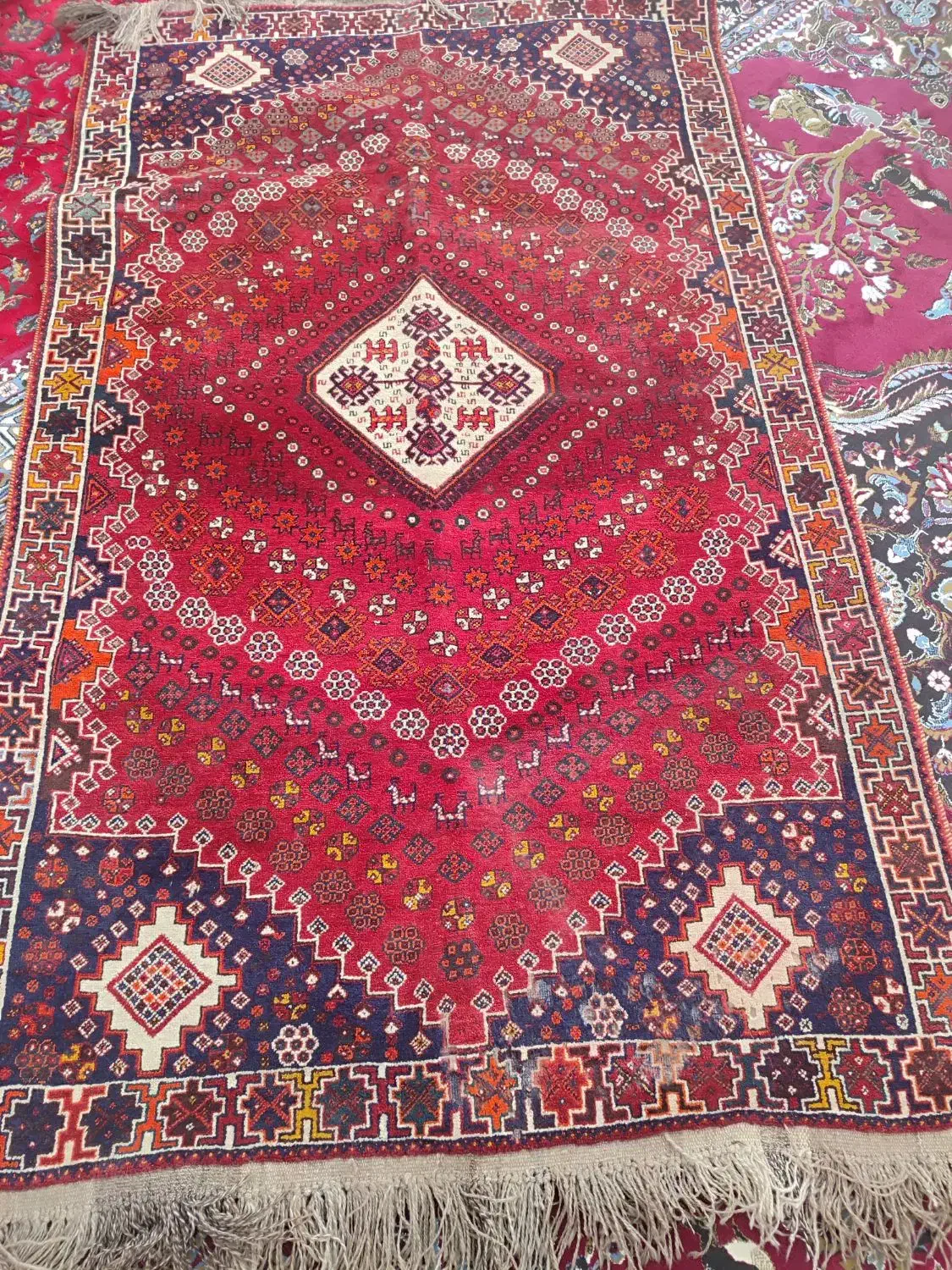 قالی دستباف قدیمی|فرش|مرودشت, محمد آباد|دیوار