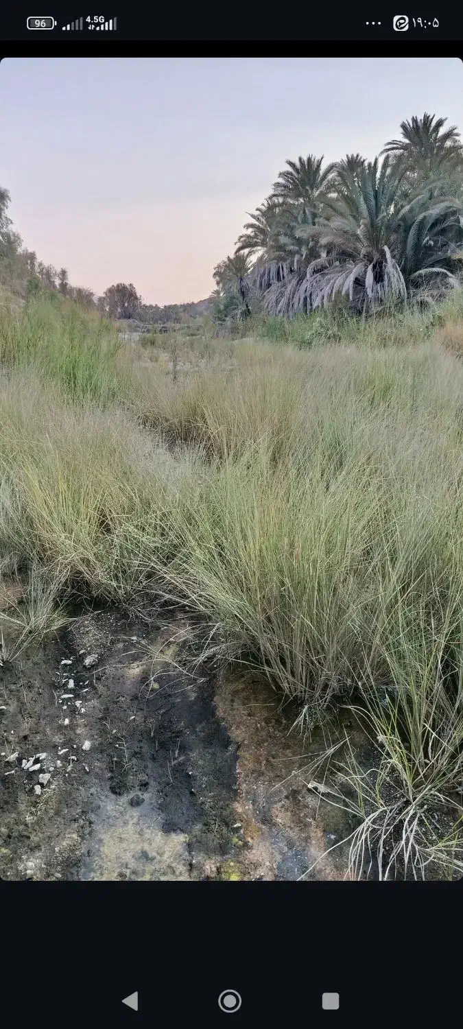 استخدام ادمین پیج هرمزگان|استخدام هنری و رسانه|بندرلنگه, |دیوار