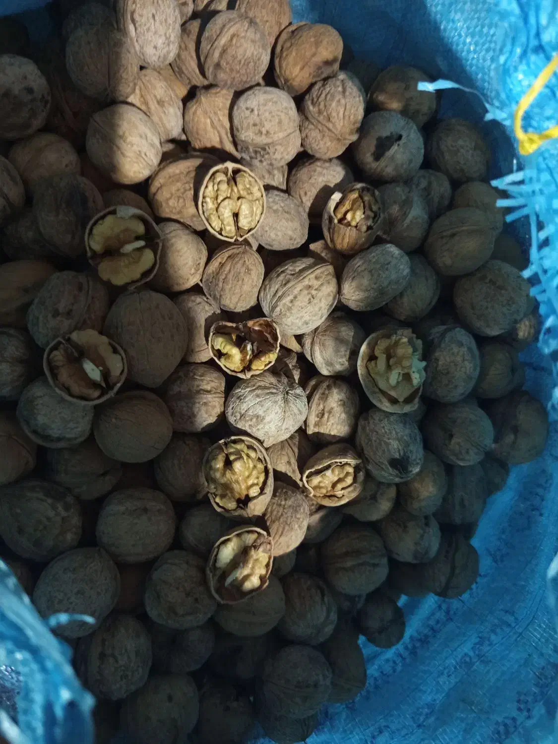 گردو|خوردنی و آشامیدنی|اشترینان, |دیوار