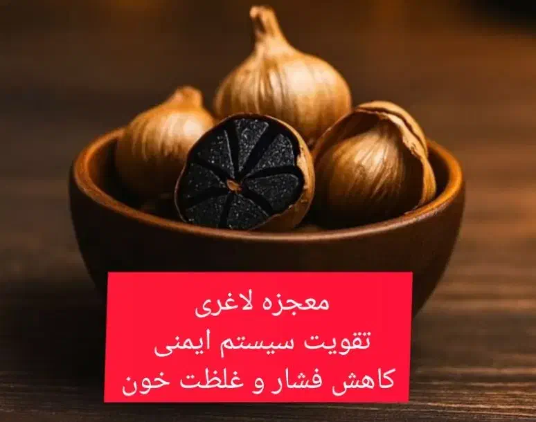 سیر سیاه|خوردنی و آشامیدنی|تهران, دانشگاه شریف|دیوار
