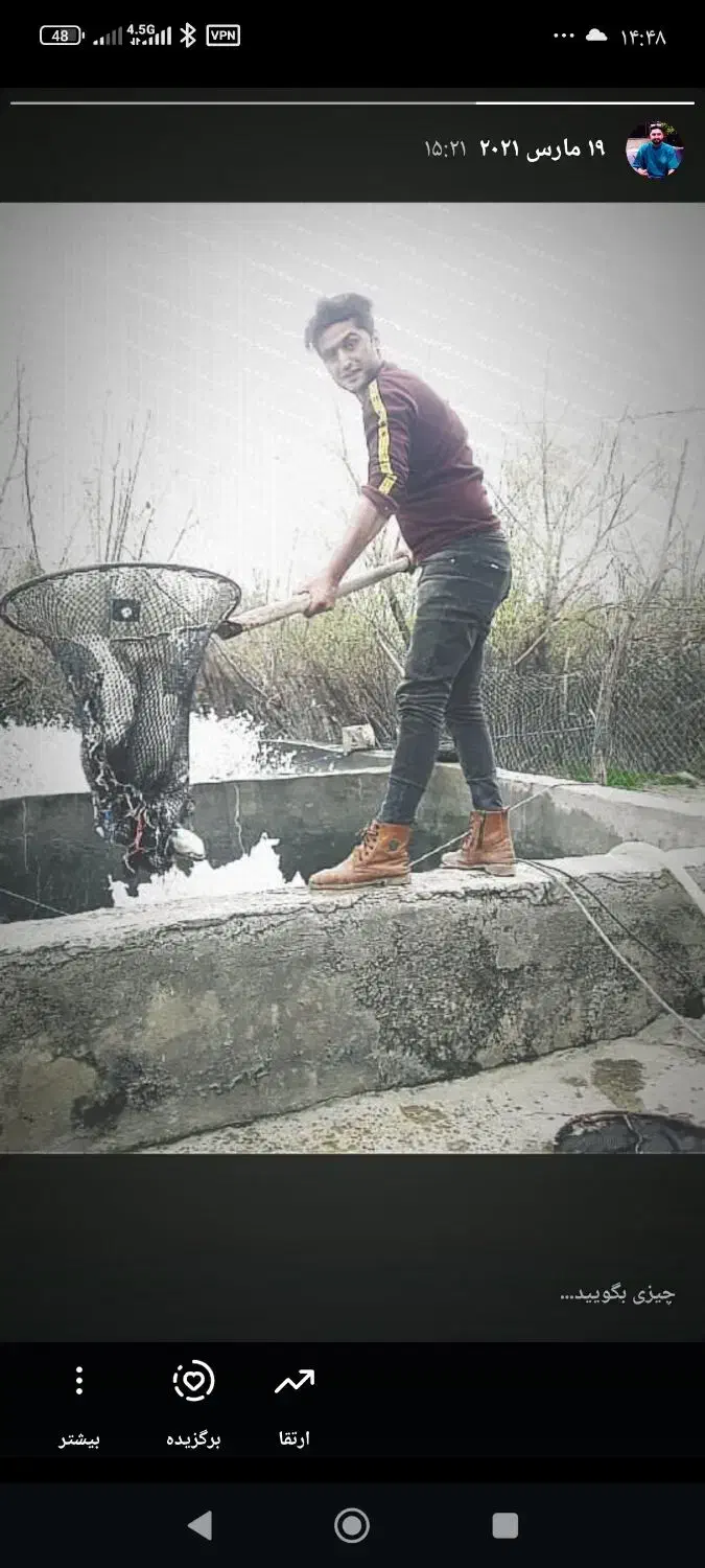 ماهی قزل زنده|ماهی|شهریار, دهشاد پائین|دیوار