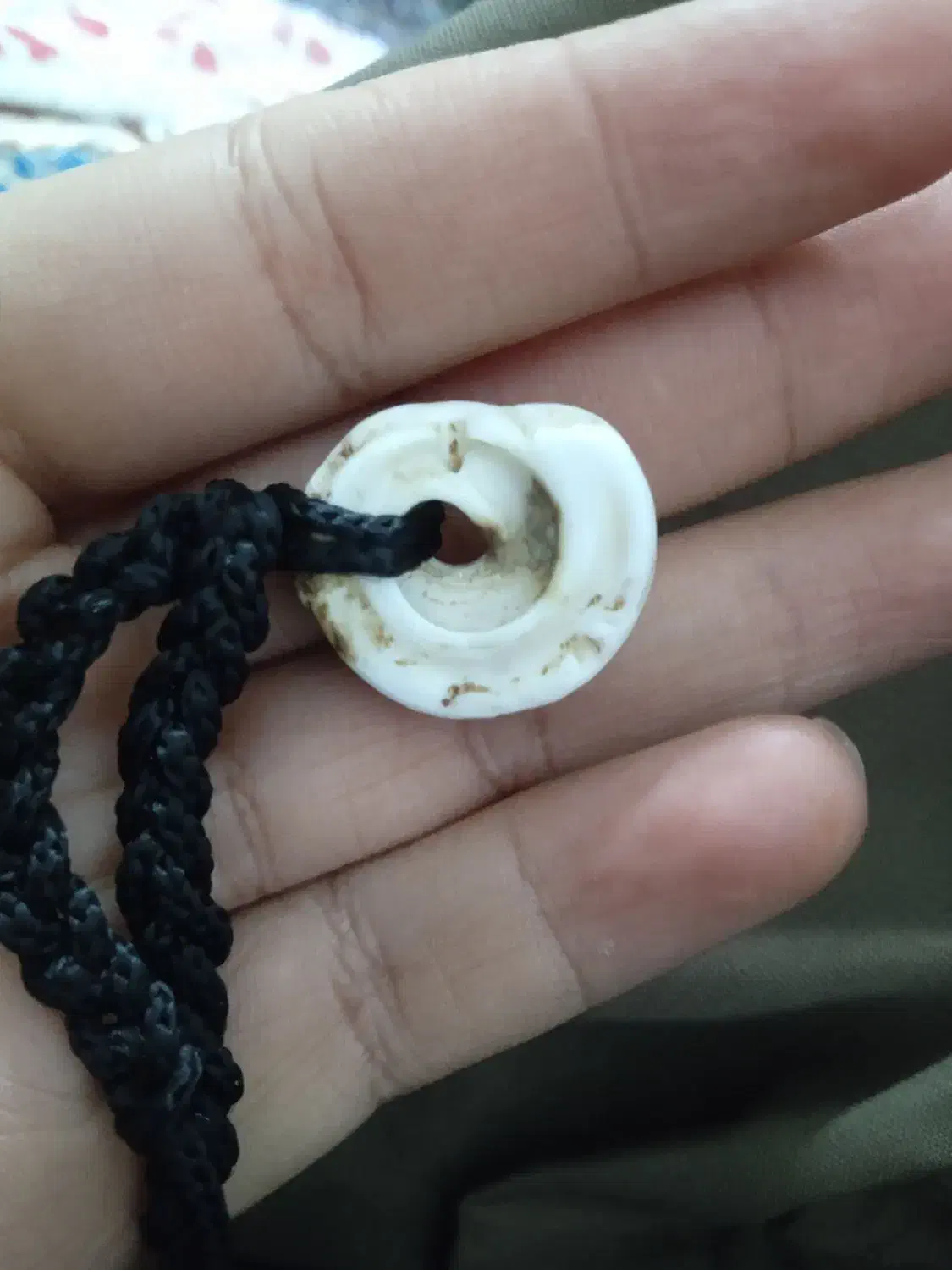 عطف بحری|کلکسیون اشیاء عتیقه|هرسین, |دیوار