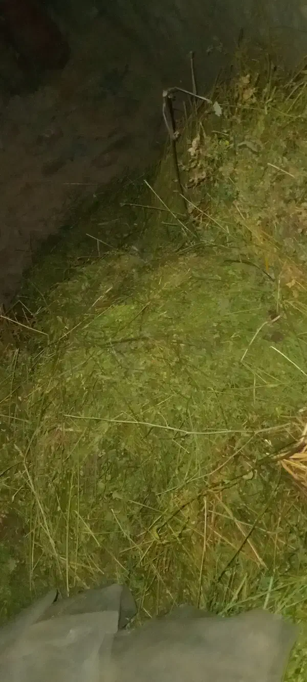 یونجه|عمده‌فروشی|مشگین شهر, |دیوار