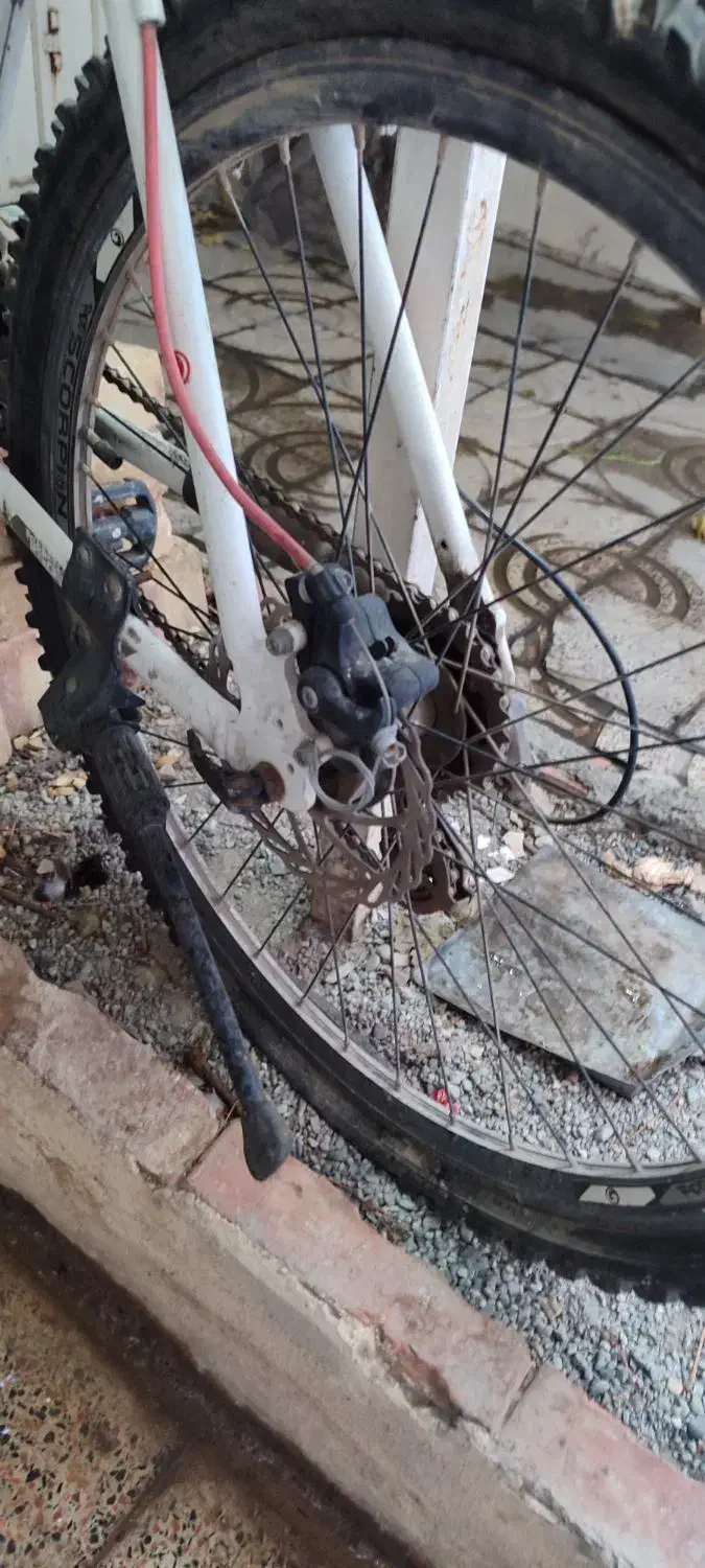 دوچرخه ۲۶|دوچرخه، اسکیت، اسکوتر|قدس, شهر‌قدس|دیوار