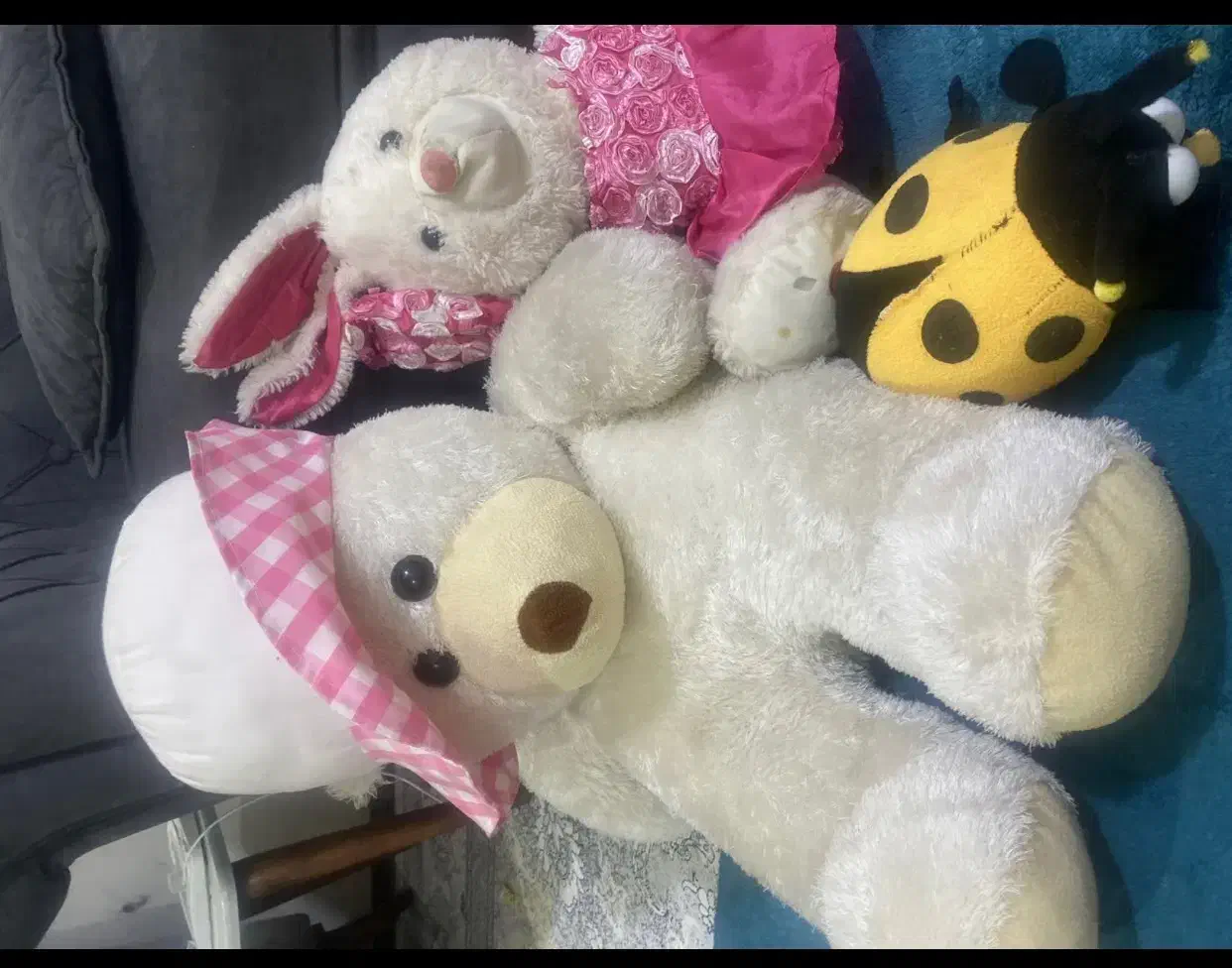 عروسک|اسباب‌بازی بچه|پرند, فاز ۵|دیوار