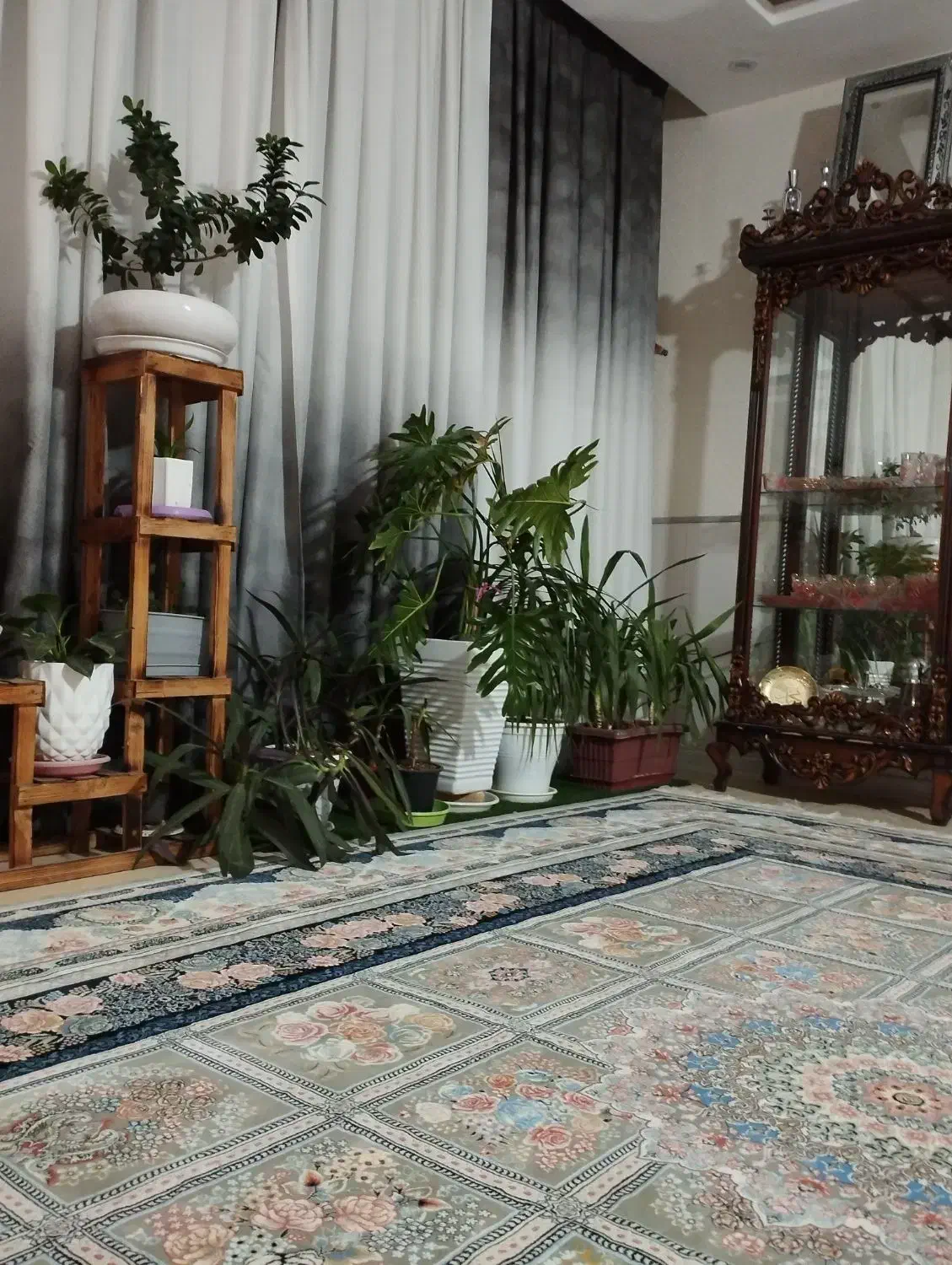 استنند وگل|گل و گیاه طبیعی|شاهین‌شهر, گرگاب|دیوار