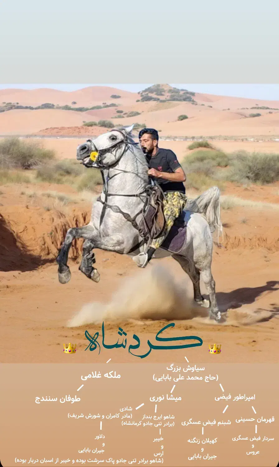 اسب اصیل کرد خالص|اسب و تجهیزات اسب‌سواری|تهران, ونک|دیوار