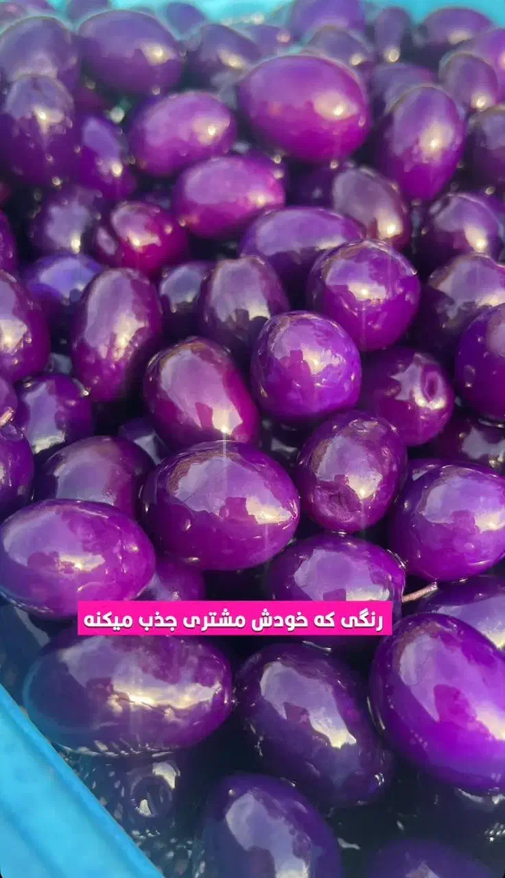 زیتون پیوندی بلوبری و ذغال اخته|خوردنی و آشامیدنی|قم, نیروگاه|دیوار