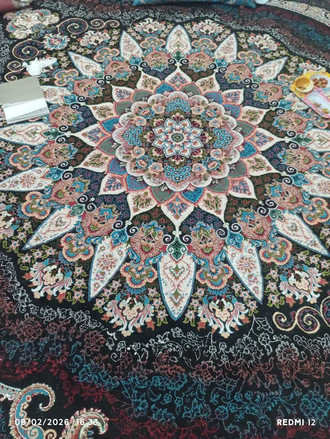 قالی|فرش|سیرجان, |دیوار