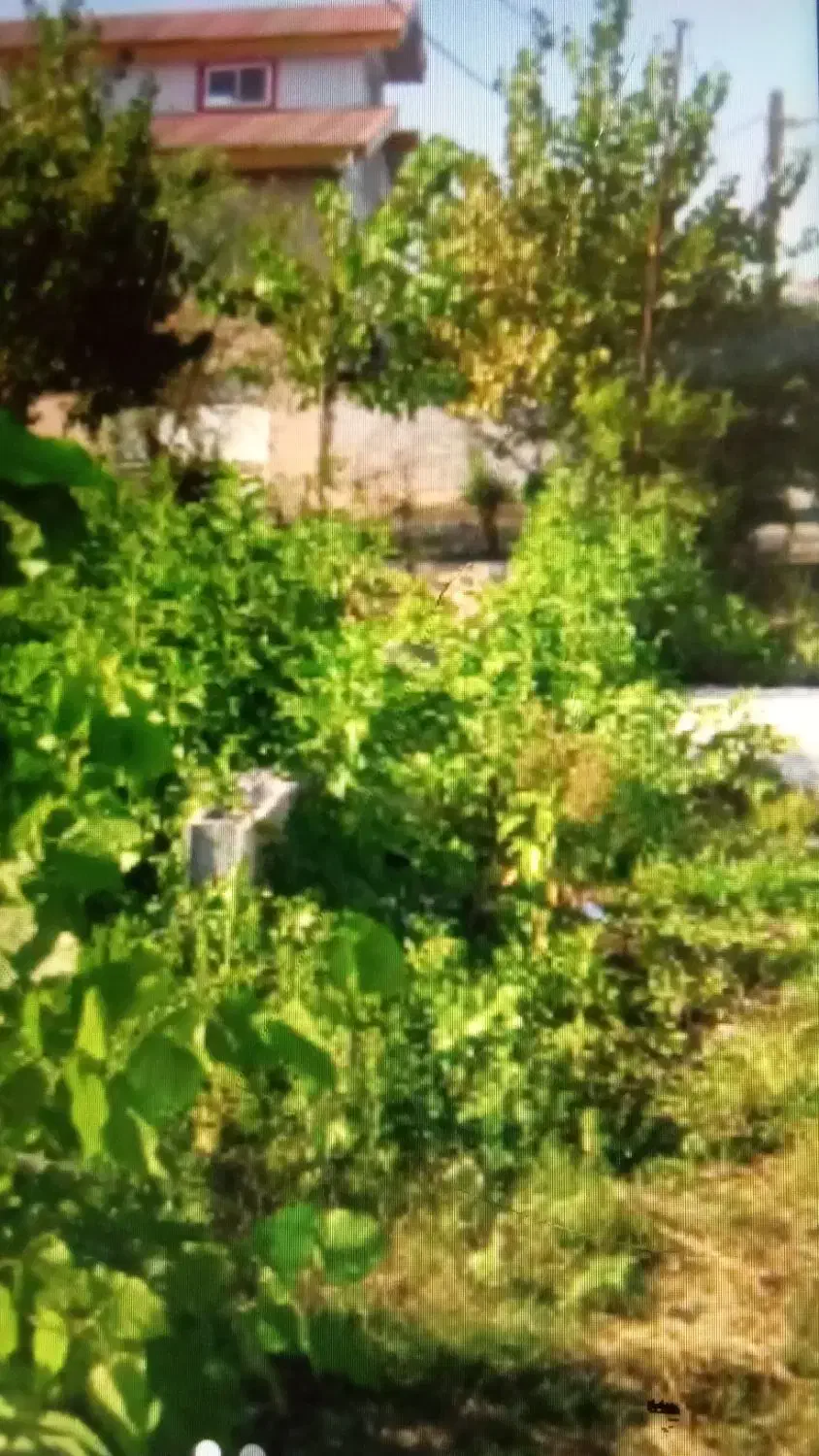 خریدارزمین.     مسکونی.۱۰۰۰متری|فروش زمین و ملک کلنگی|رشت, بازار|دیوار