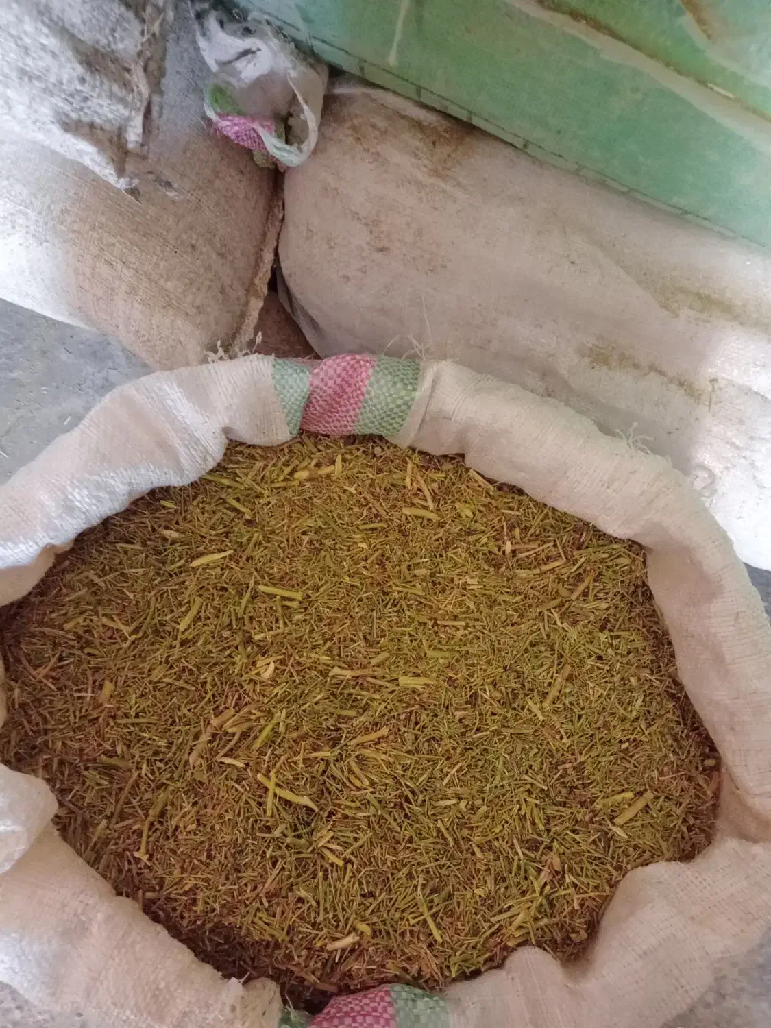 خارشتری نرم|لوازم جانبی حیوانات|رضویه, |دیوار