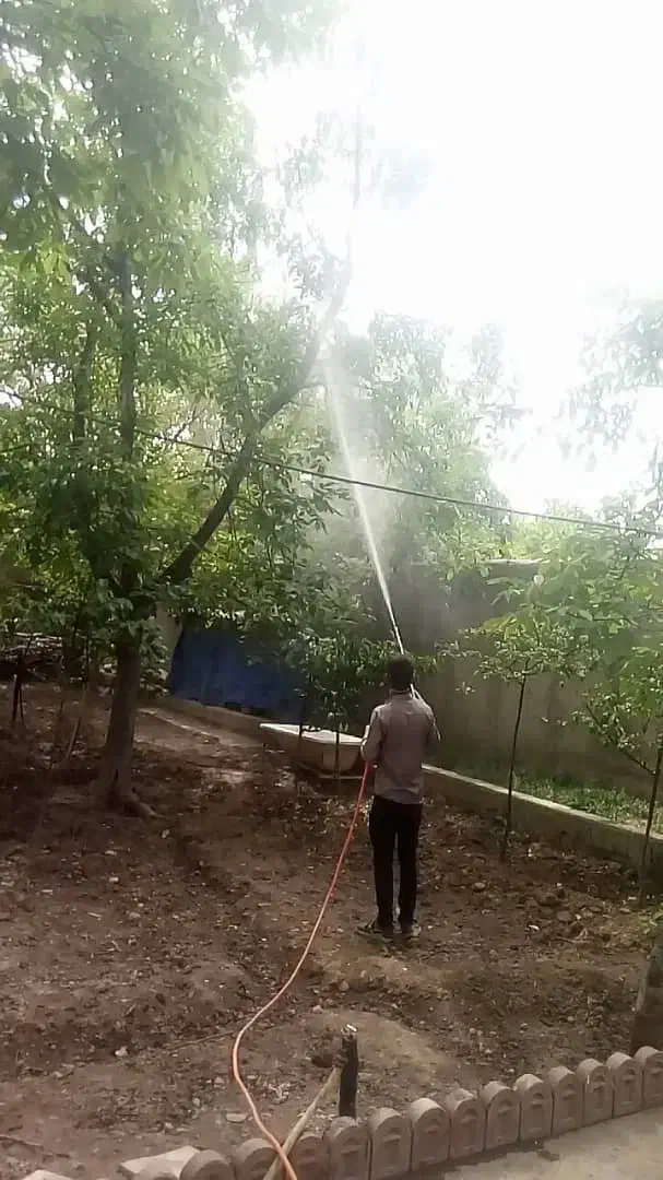 سمپاشی سوسک ساس درتمام نقاط تهران|خدمات نظافت|تهران, پاسداران|دیوار