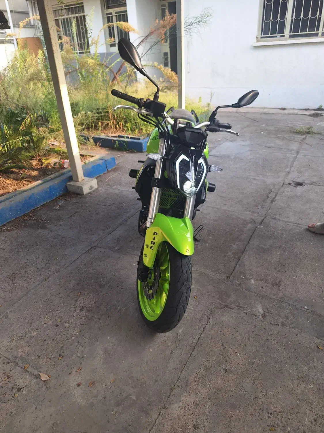 بنلی ۳۰۰ فسفری|موتورسیکلت|رشت, منظریه|دیوار