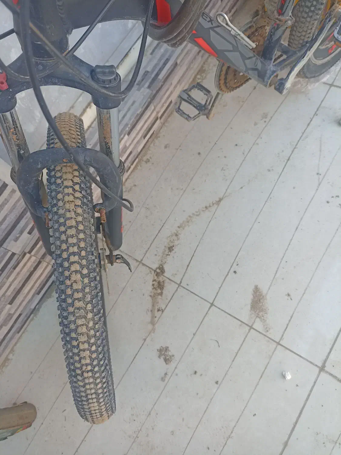 دوچرخه 24|دوچرخه، اسکیت، اسکوتر|بندرعباس, |دیوار