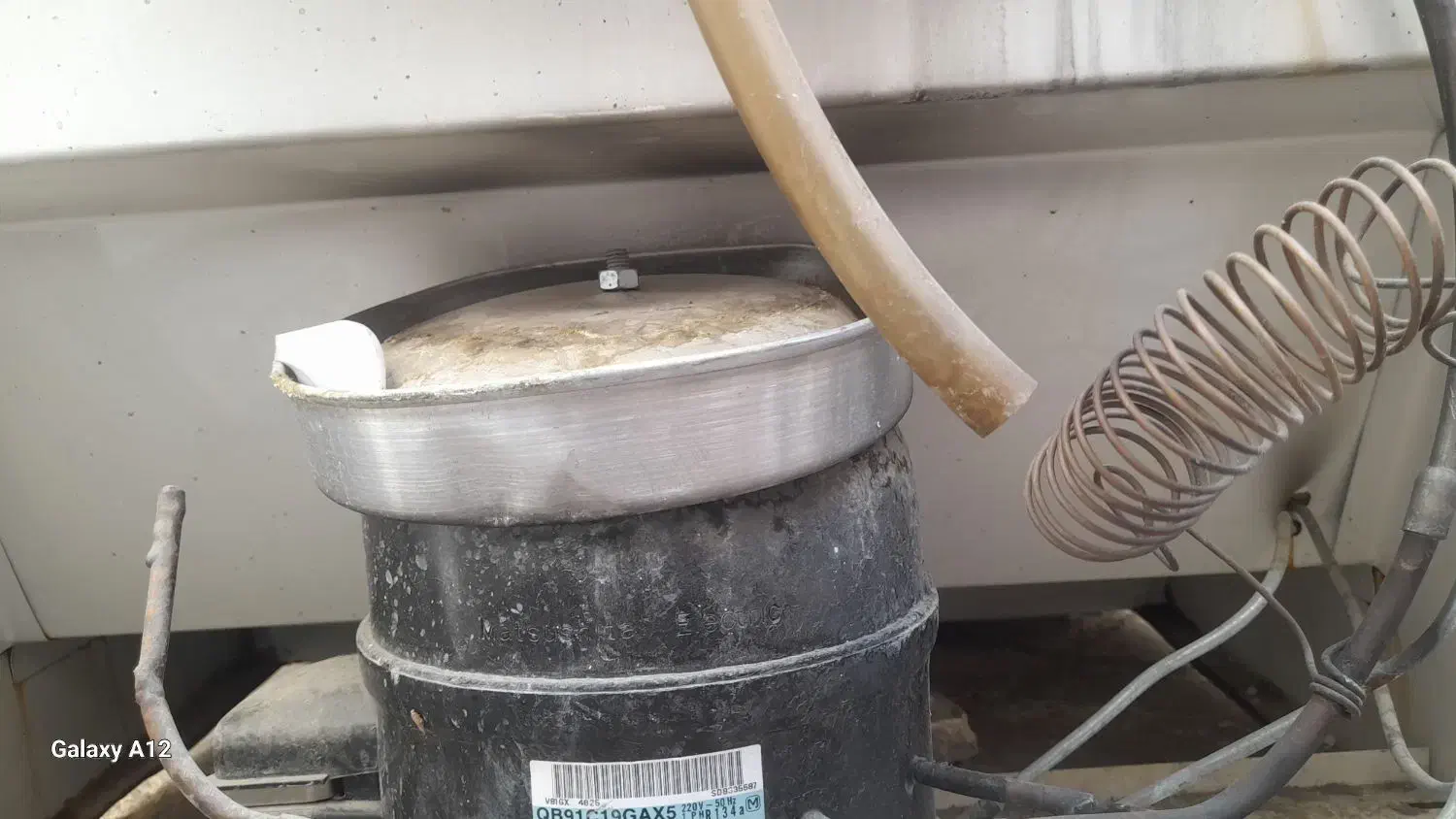 یخچال فریزر بالا پاین|یخچال و فریزر|چناران, |دیوار