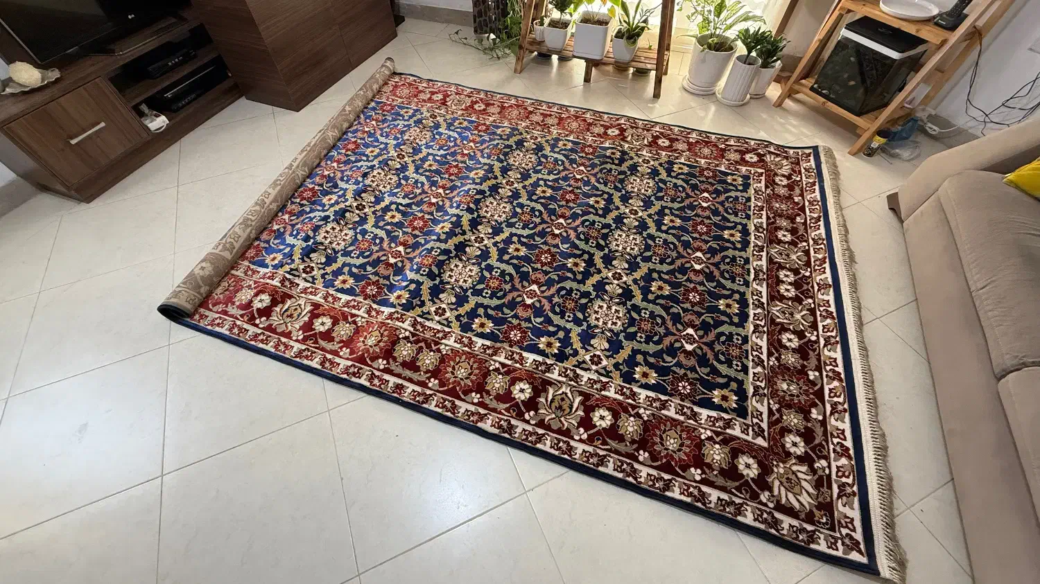 فرش 6متری آرتمیس|فرش|نوشهر, |دیوار