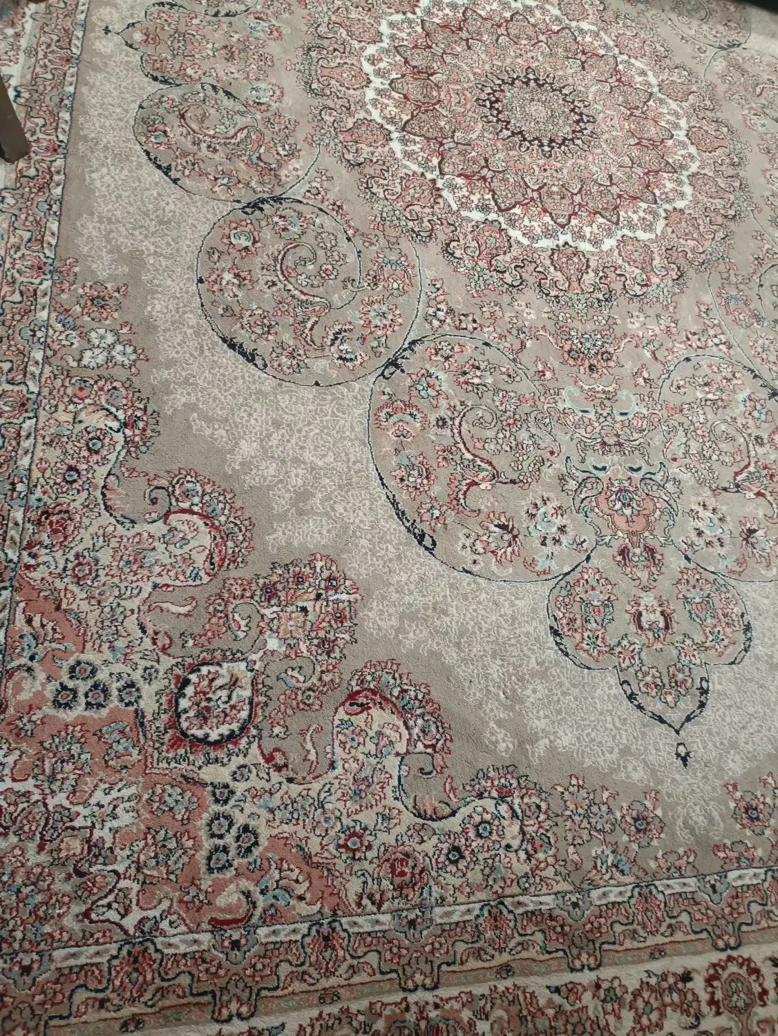 فرش نه متری ۷۰۰ شانه گردویی|فرش|رشت, باهنر|دیوار