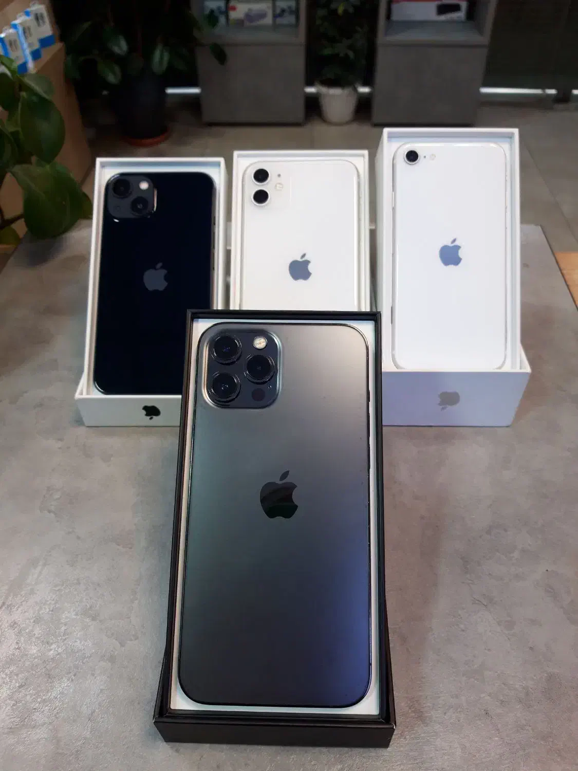 آیفون ۱۲ پرومکس|موبایل|قزوین, |دیوار