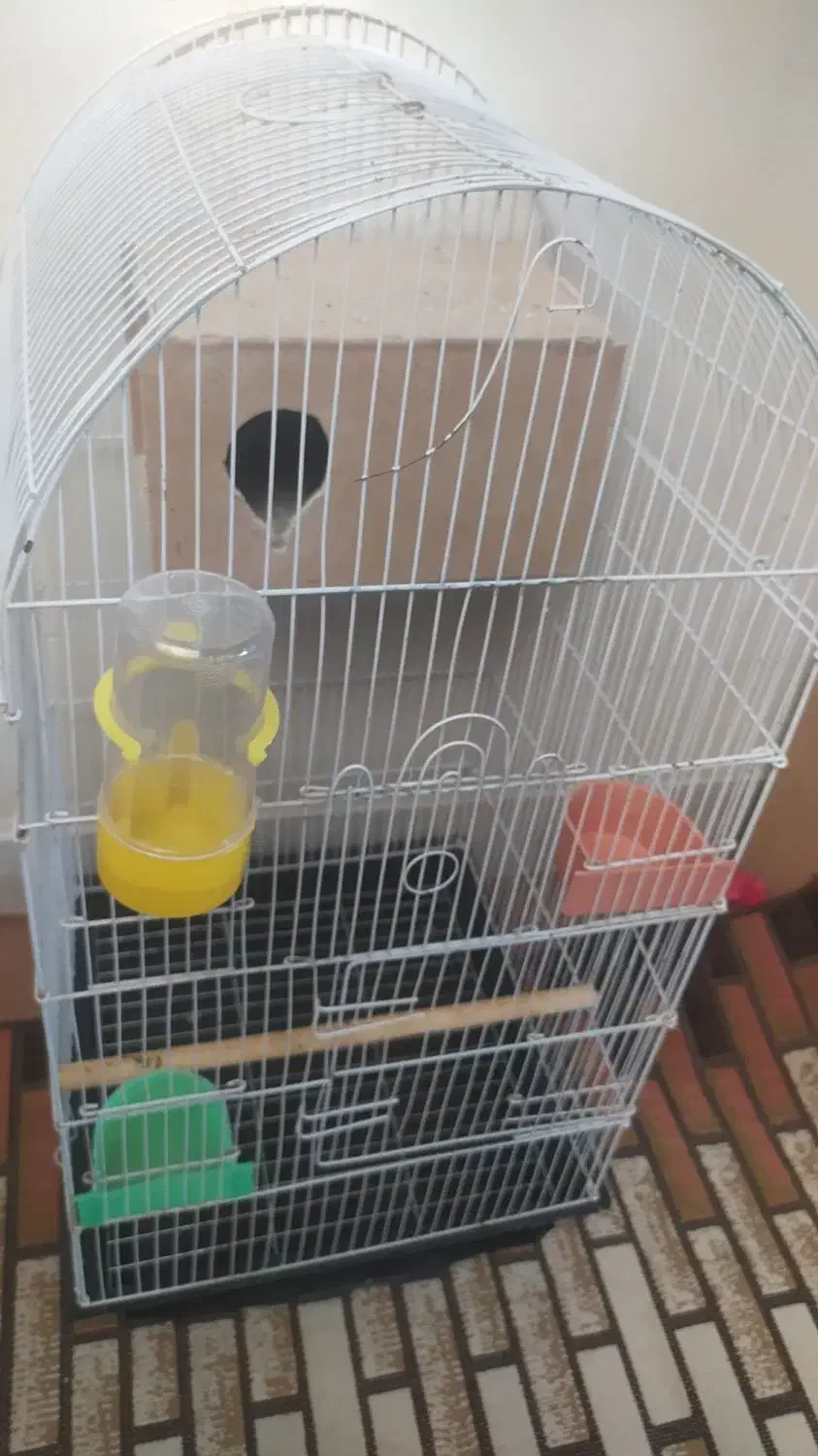 قفس سالم درحدنو و چهارپایه نو نو|لوازم جانبی حیوانات|اصفهان, جاوان|دیوار