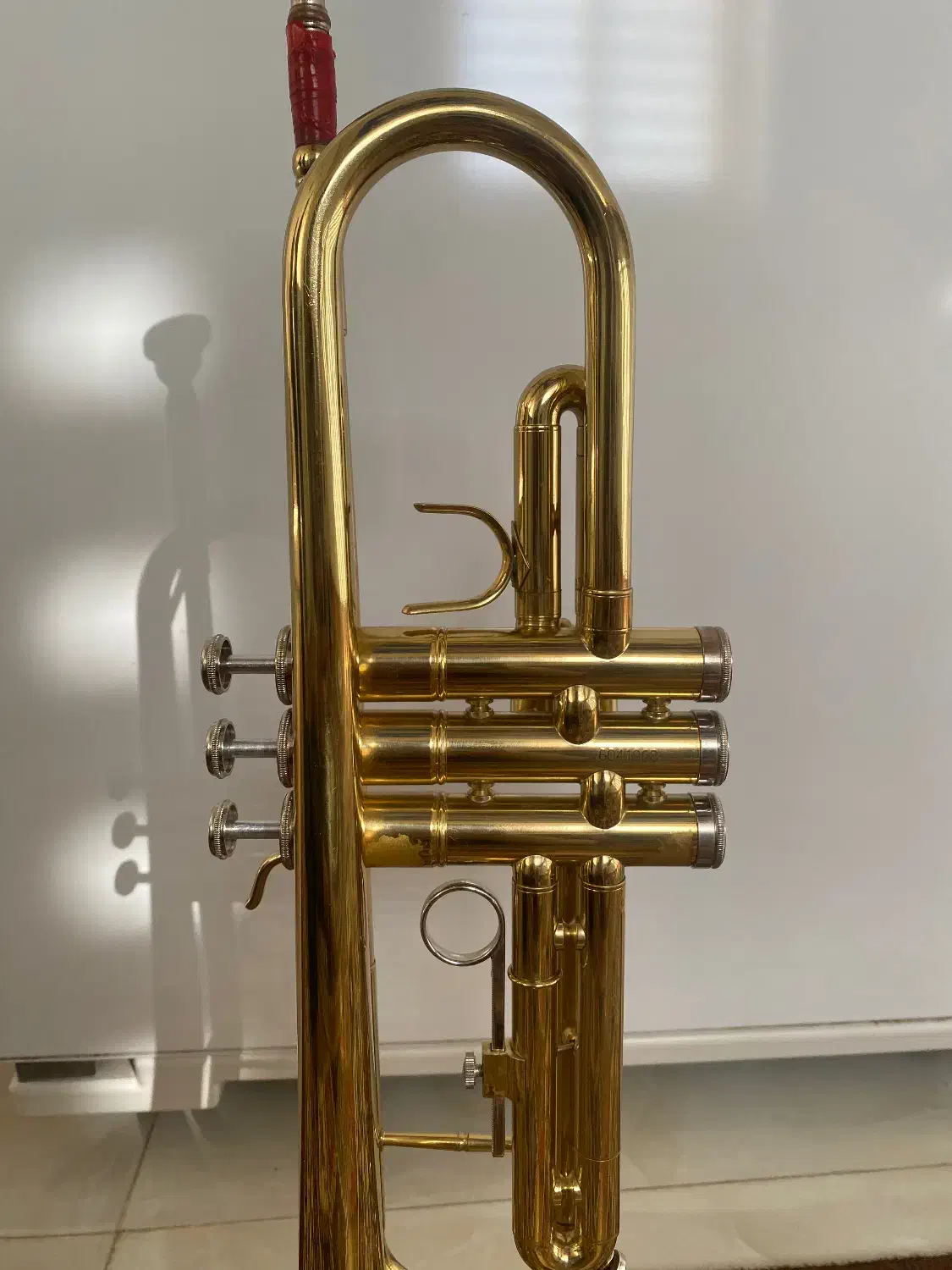 ترومپت جینبائو|سازهای بادی|اصفهان, بهارستان|دیوار