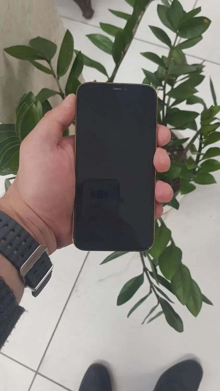 12pro|موبایل|اصفهان, شاهزید|دیوار