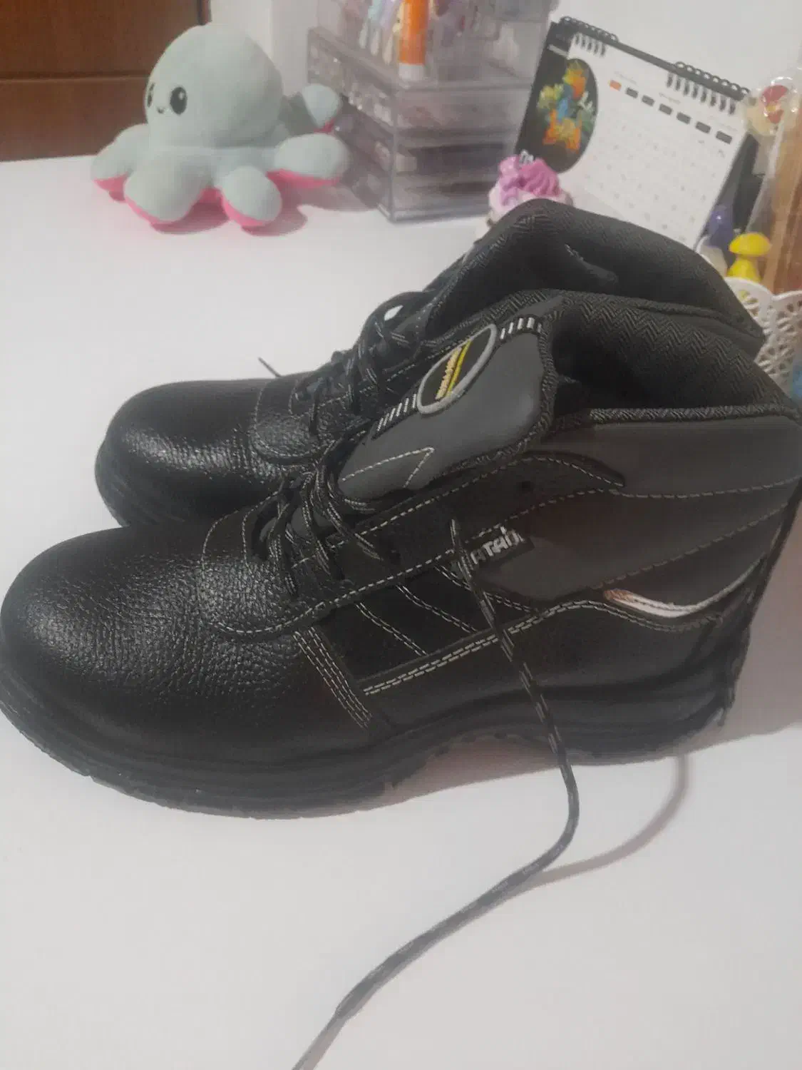 کفش کار نو|کیف، کفش، کمربند|نوشهر, |دیوار